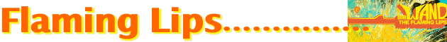 Flaming Lips.................
